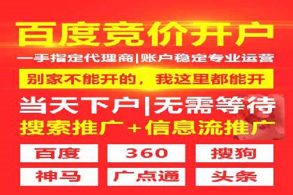 精选案例分享：SEM代运营公司效果展示